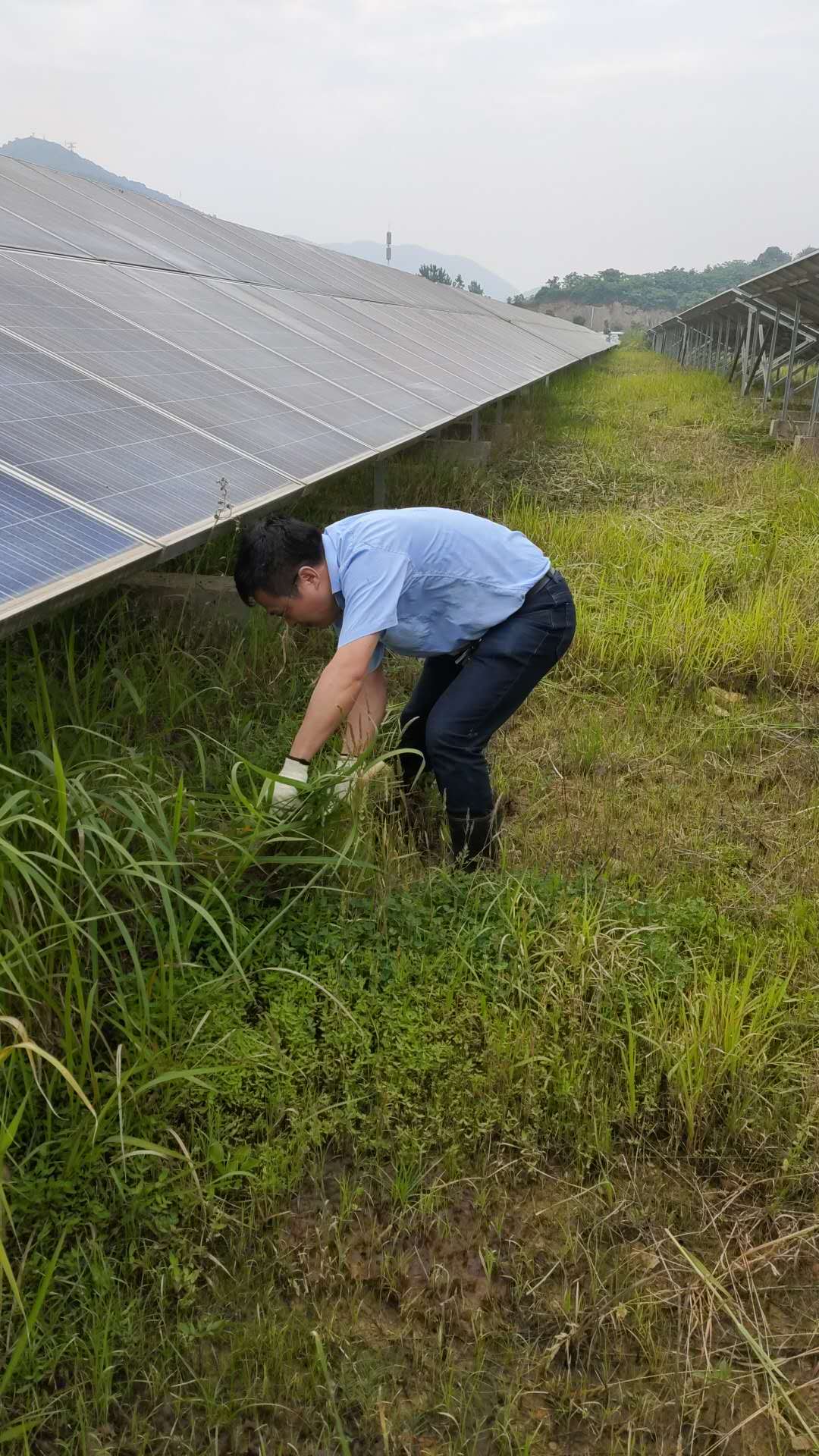 新澳门天天免费精准大全